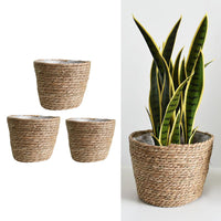 Flower Natural Rattan Planter